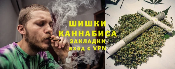 индика Белоозёрский