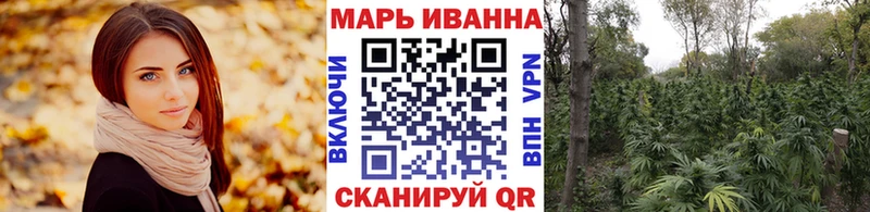 Каннабис семена  площадка какой сайт  Ленинск-Кузнецкий 